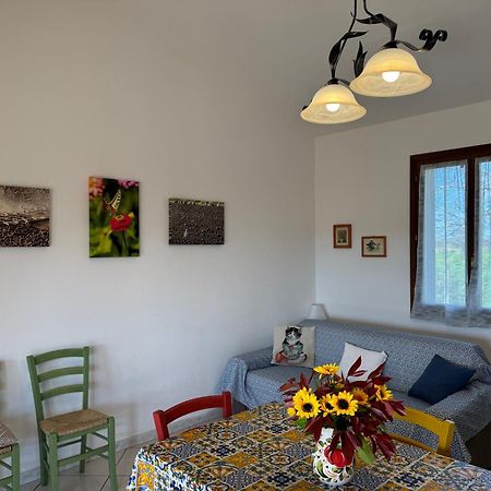 Agriturismo I Debbi Бибона Екстериор снимка
