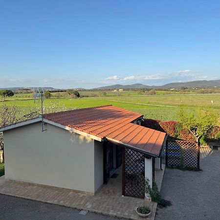 Agriturismo I Debbi Бибона Екстериор снимка