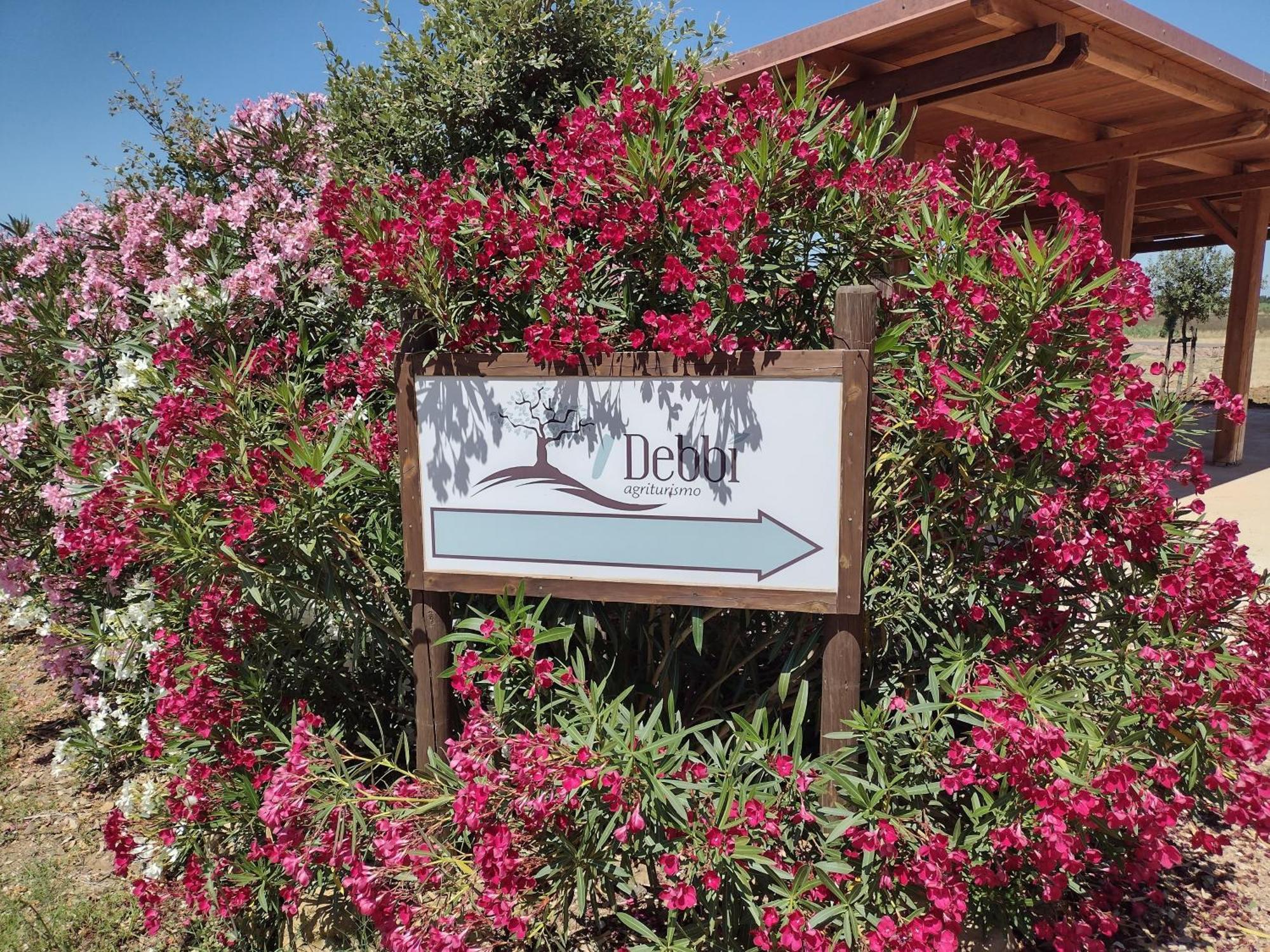 Agriturismo I Debbi Бибона Екстериор снимка